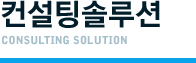 컨설팅솔루션